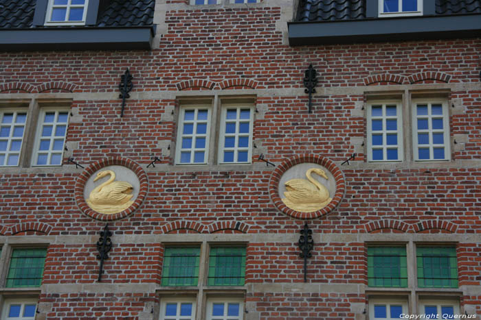 2 Swans GHENT picture