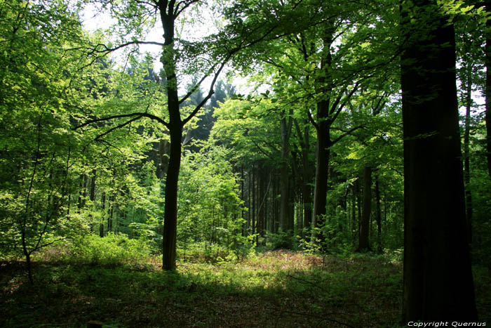 Domein provencial Nieuwenhoven - Fort des Gibiers NIEUWERKERKEN / BELGIQUE 