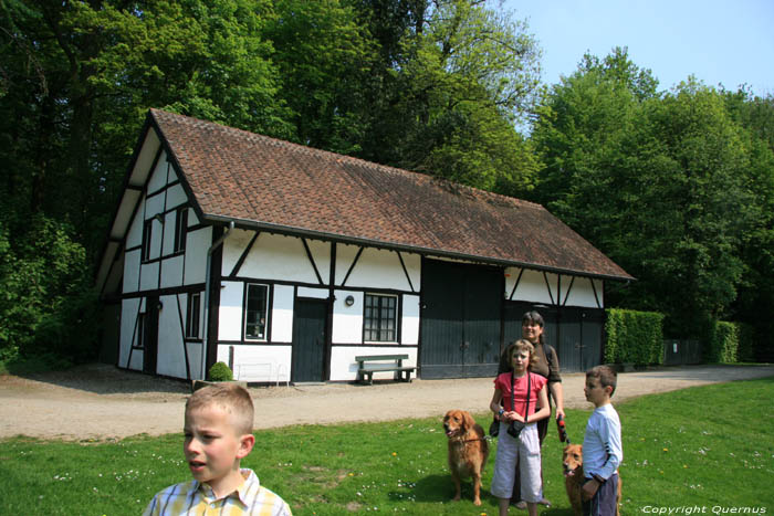 Provinciaal domein Nieuwenhoven - Galgenbos NIEUWERKERKEN / BELGI 