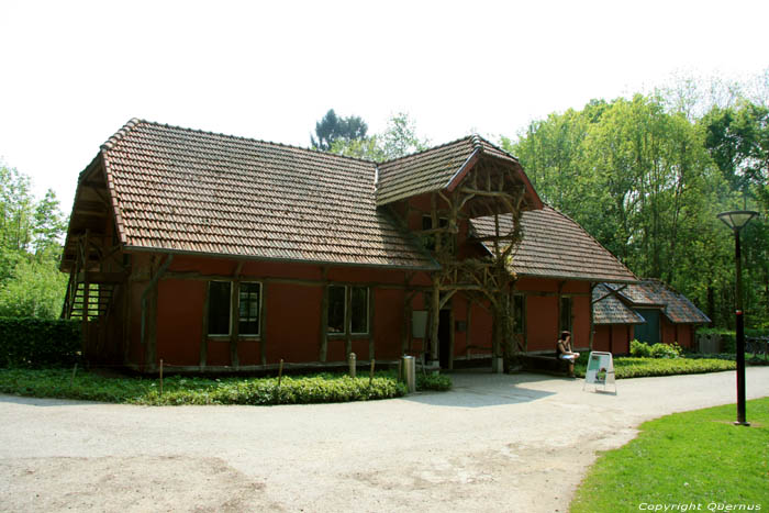 Provinciaal domein Nieuwenhoven - Galgenbos NIEUWERKERKEN foto 