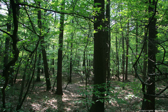 Domein provencial Nieuwenhoven - Fort des Gibiers NIEUWERKERKEN / BELGIQUE 