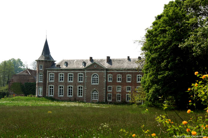 Nieuwenhoven castle (tin Kortenbos) NIEUWERKERKEN picture 