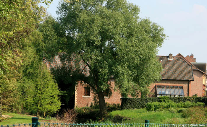 Townmill (in Stevoort) STEVOORT / HASSELT picture