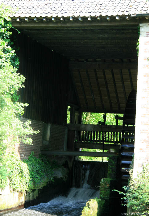 Moulin du village  ( Stevoort) STEVOORT / HASSELT photo 