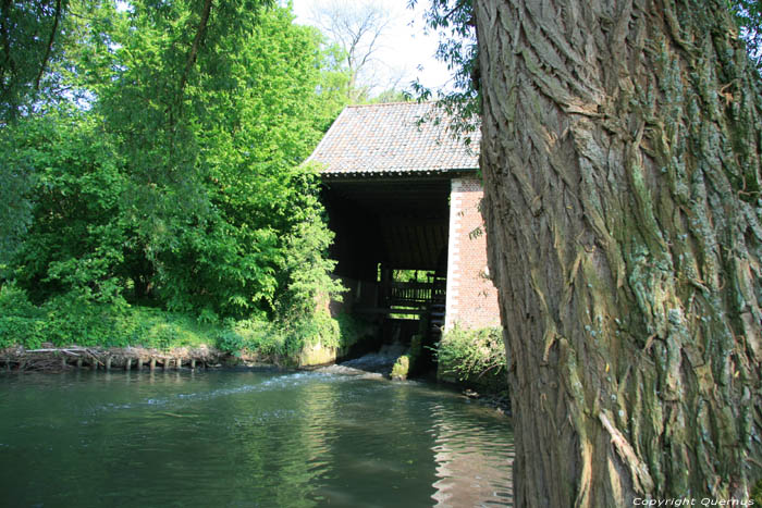 Moulin du village  ( Stevoort) STEVOORT  HASSELT / BELGIQUE 