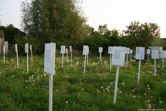 Veld met gedichten (in Doel) KIELDRECHT / BEVEREN foto 