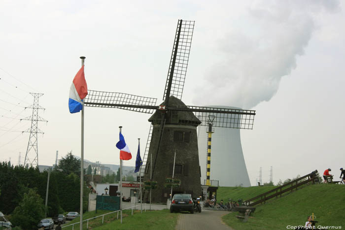 Scheldt dike Windmill Scheldt (in Doel) KIELDRECHT in BEVEREN / BELGIUM 