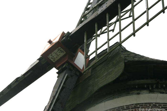 Windmolen Doel Scheldedijkmolen of Schelde Molen KIELDRECHT in BEVEREN / BELGI 