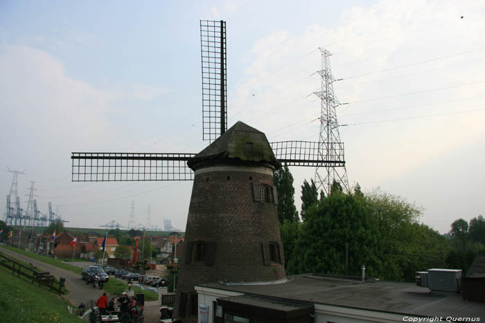 Moulin  vent de l'Escault ( Doel)  KIELDRECHT  BEVEREN / BELGIQUE 
