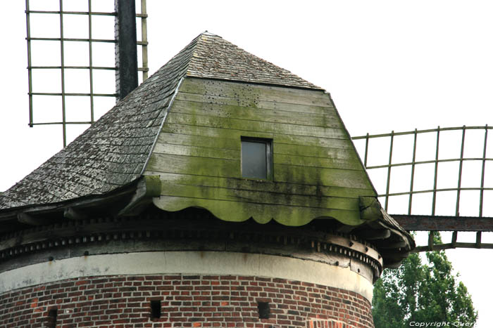 Windmolen Doel Scheldedijkmolen of Schelde Molen KIELDRECHT in BEVEREN / BELGI 