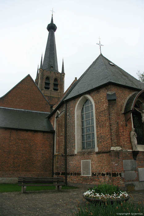 Eglise Saint-Pierre VORSELAAR photo 