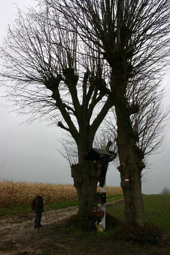 Aan 't Priem - Parikeberg PARIKE in BRAKEL / BELGI 