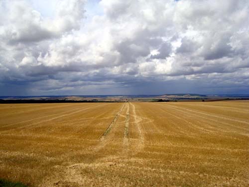 Harvest Month - Parike PARIKE in BRAKEL / BELGIUM 