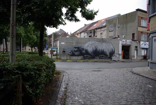 Graffiti van rund GENT / BELGI 