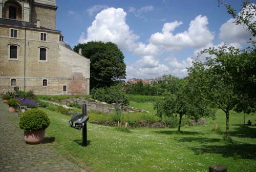 Saint Peter's abbey's wineyard GHENT picture 
