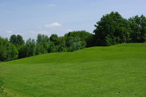 Green Longue KUURNE picture