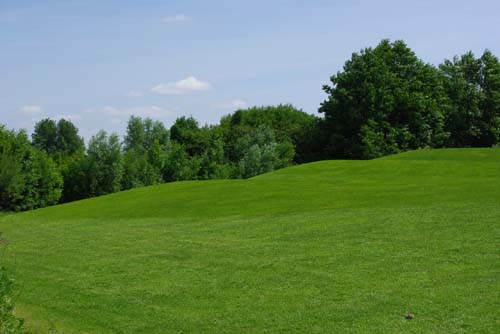 Groene Long KUURNE / BELGI 