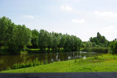 Green Longue KUURNE / BELGIUM 