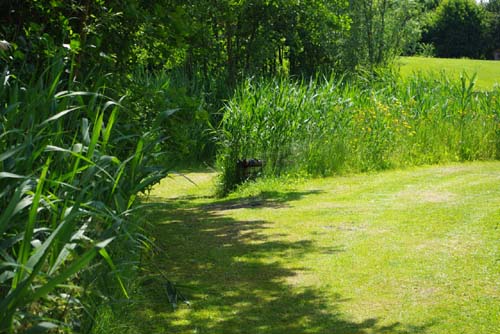 Green Longue KUURNE picture
