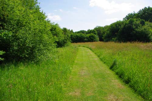 Groene Long KUURNE / BELGI 