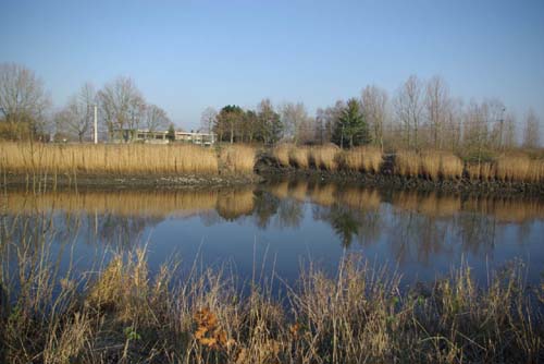 Kalkense Vaart et Escault WICHELEN / BELGIQUE 