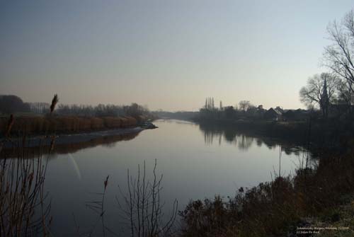 Scheldebocht te Wichelen WICHELEN foto 