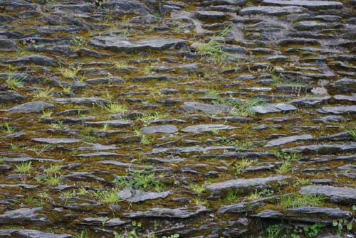 Castle LA ROCHE-EN-ARDENNE picture 