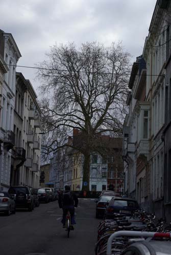 Prudens Van Duyse square GHENT / BELGIUM 