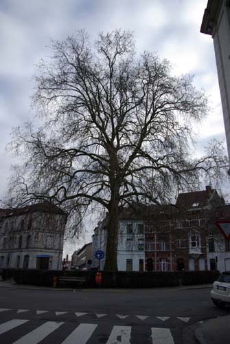 Place Prudens Van Duyse GAND / BELGIQUE 