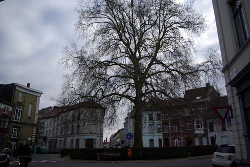 Prudens Van Duyse square GHENT picture