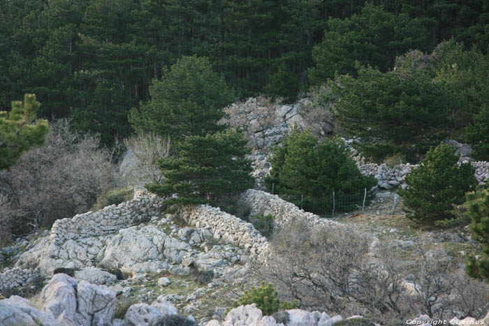 Walls in the landscape Baka / CROATIA 