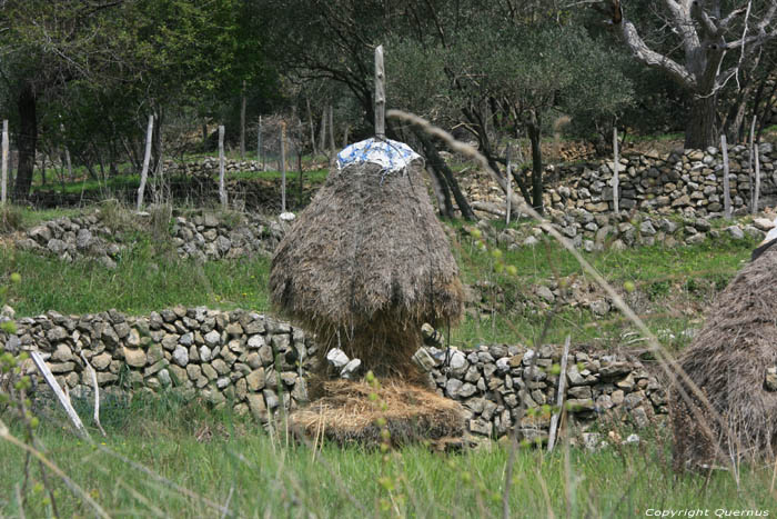 Sint Lucia Abdijrunes (tlocrt opatije sv lucije)  (te Draga Bascanska Baka / KROATI 