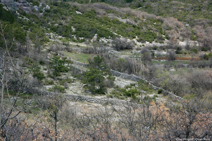 Landschap met muurtjes Punat in PUNAT / KROATI 