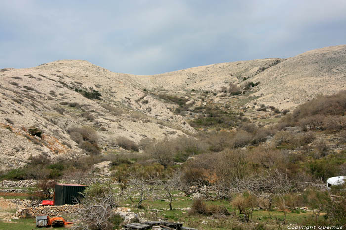 View from close to camping (Kamp) Skrila Punat in PUNAT / CROATIA 