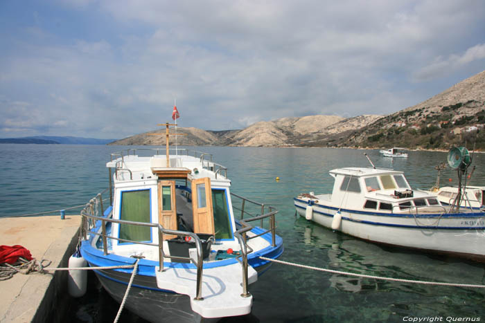 Stara Baka Harbor Punat in PUNAT / CROATIA 