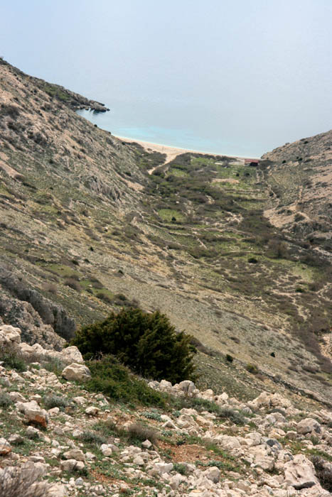 View from road towards Stara Baka Punat in PUNAT / CROATIA 