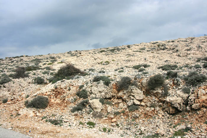 View from road towards Stara Baka Punat in PUNAT / CROATIA 