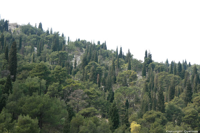 Krka landscape Skradin / CROATIA 