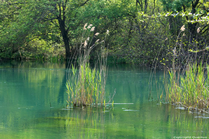 Krka einde van meer Skradin / KROATI 