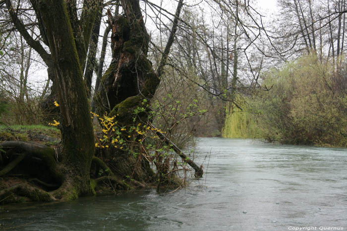 Mreznica Rivier bij camping Slapic Duga Resa / KROATI 