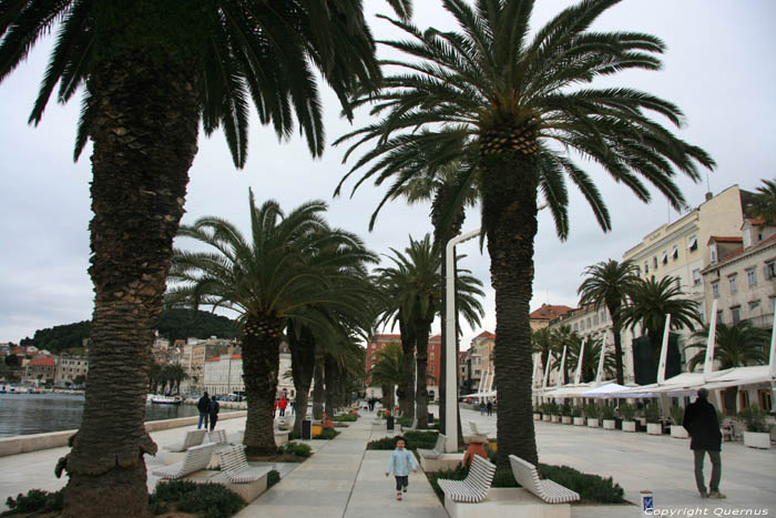 Promenade aan de zee Split in SPLIT / KROATI 