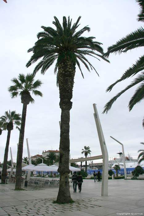 Promenade aan de zee Split in SPLIT / KROATI 