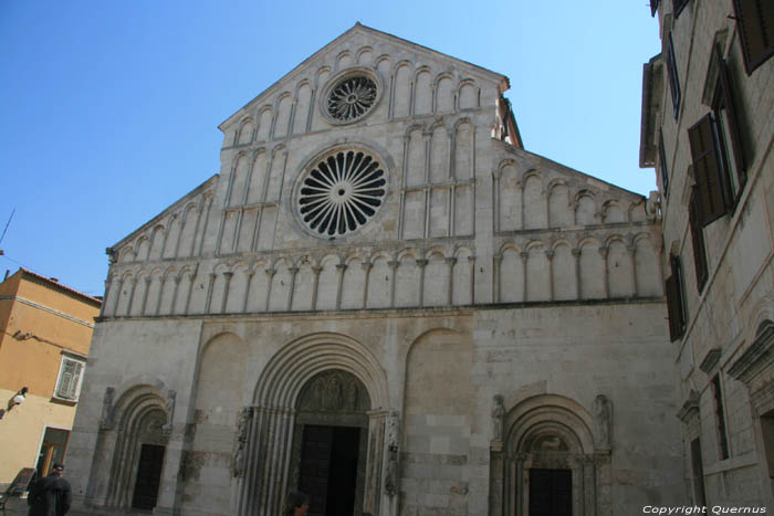 Sint-Anastasia Cathedraal Zadar in ZADAR / KROATI 