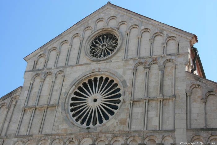 Sint-Anastasia Cathedraal Zadar in ZADAR / KROATI 