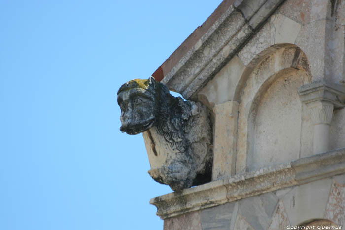 Sint-Anastasia Cathedraal Zadar in ZADAR / KROATI 