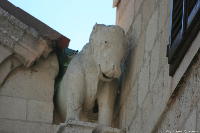 Sint-Anastasia Cathedraal Zadar in ZADAR / KROATI 