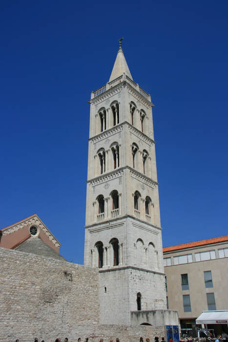 Saint-Anastasia's Cathedral (Sv.Stosija) Zadar in ZADAR / CROATIA 