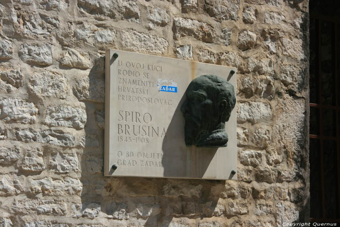 Gothic Palace Zadar in ZADAR / CROATIA 