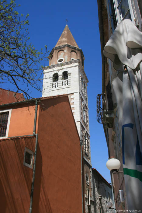 Sint-Simeoniskerk Zadar in ZADAR / KROATI 