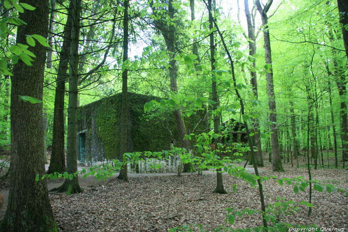 Grand Quartier Gnral allemand - Bunker de Adolf Hitler NAMUR  COUVIN / BELGIQUE 